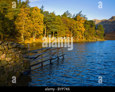 Autumn morning sunlight over Blea Tarn in the Lake District National Park near Little Langdale, Cumbria, England. Stock Photo