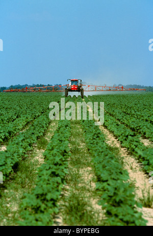 Chemical application by a high clearance sprayer of herbicide in a conventionally tilled early growth cotton field / Mississippi Stock Photo