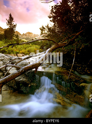 Lamoille Canyon waterfall Stock Photo