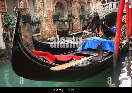 Gondola ride in Venice, Italy Stock Photo