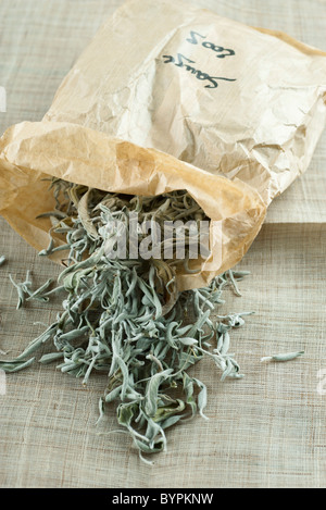 Bag of dried sage leaves Stock Photo