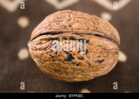 Walnut Stock Photo