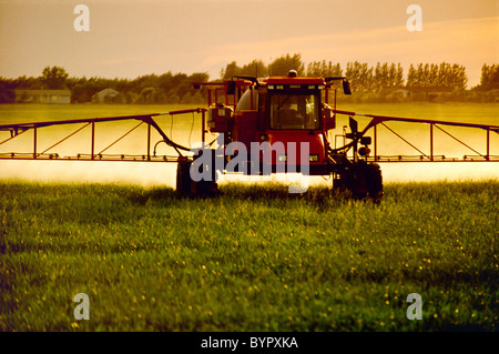 Agriculture - Ground application of fungicide on early/mid growth wheat / near Oakbank, Manitoba, Canada. Stock Photo