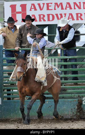 Bronc Riding, Rodeo, Salmon, Idaho Stock Photo - Alamy