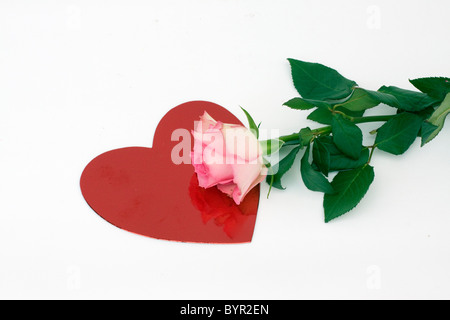 A Pink Rose on a Red Heart Stock Photo