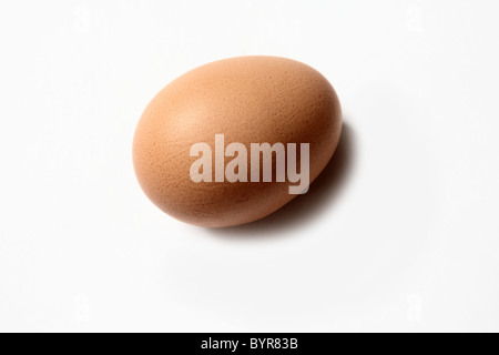 One single egg Stock Photo