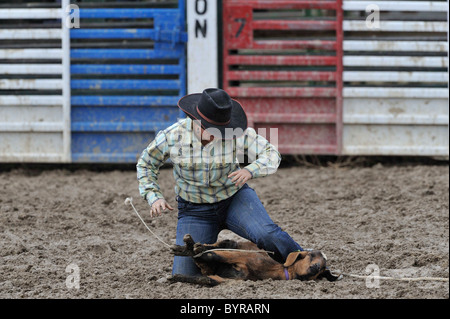 Goat Tying, Rodeo, Salmon, Idaho, Girl, Girls, Teen, Teenager, Cowgirl, Stock Photo