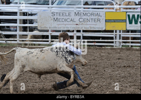 Bulldogging, Steer Wrestling, Teen, Teenager, Horse, Horses, Cowboy, Rodeo, Salmon, Idaho Stock Photo