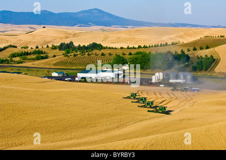 Four John Deere combines harvest wheat in tandem near the farm shop and maintenance yard / near Pullman, Washington, USA. Stock Photo