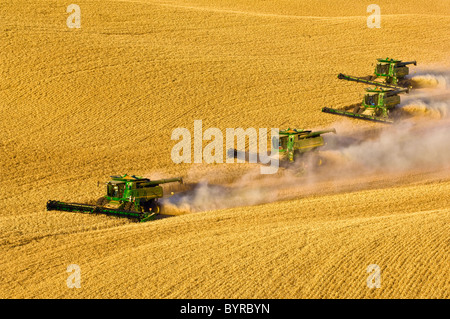 Four John Deere combines in tandem harvest wheat in a draw between hills / near Pullman, Palouse Region, Washington, USA. Stock Photo