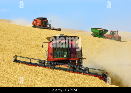 Two Case IH combines and a grain cart pulled by a tracked tractor harvest wheat on the steep hillsides of the Palouse Region. Stock Photo