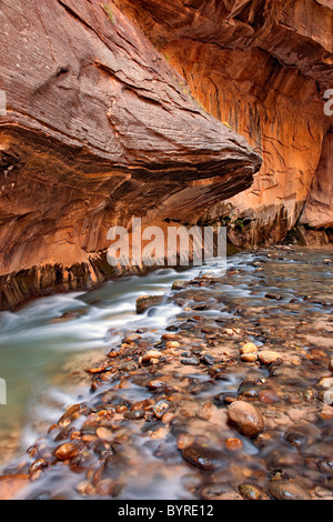 The North Fork of the Virgin River rushes past the vertical sandstone walls of The Narrows in Utah’s Zion National Park. Stock Photo