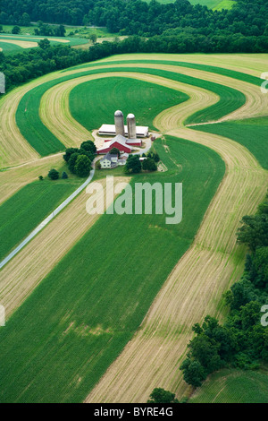 Farmstead and agricultural fields with coutour strips of young grain corn and mowed grass cover crop in early Summer / USA. Stock Photo