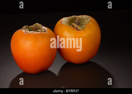 2,500+ Japanese Persimmon Diospyros Kaki Fruit On Tree Stock