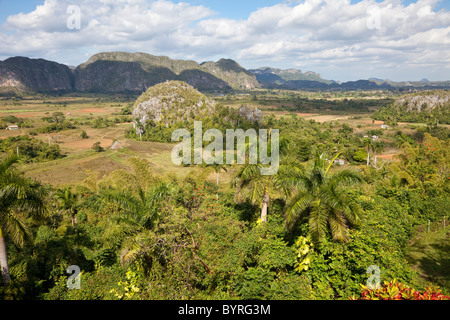 Cuba, Pinar del Rio Region, Valle de Viñales (Vinales) Area. Limestone Mogotes Provide a Backdrop to Fields of Tobacco and Corn. Stock Photo