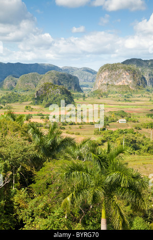 Mogotes de Viñales Pinar del Río Cuba Stock Photo - Alamy