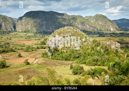 Mogotes de Viñales Pinar del Río Cuba Stock Photo - Alamy