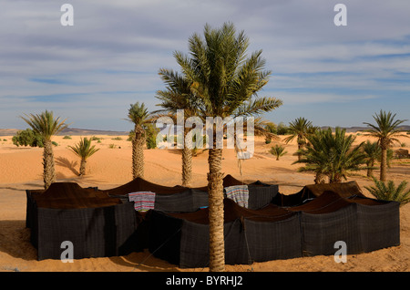 Berber tents among palm trees in sand at the edge of the barren Erg Chebbi desert in Khemlia village Morocco North Africa Stock Photo