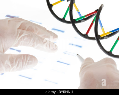 Researcher examining DNA sequence transparency slide Stock Photo
