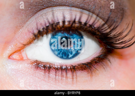 Close up of a White European womans blue eye with false eyelashes and makeup. Stock Photo