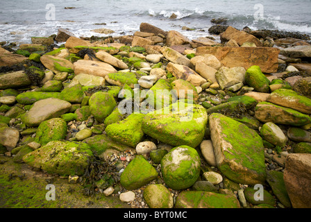 Swanage Hampshire England UK Beach Rocks Stock Photo