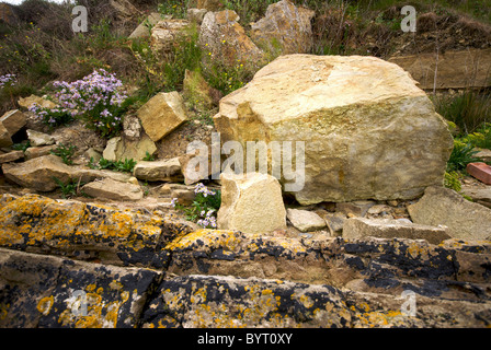 Swanage Hampshire England UK Beach Rocks Stock Photo