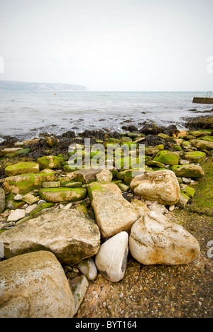 Swanage Hampshire England UK Beach Stock Photo