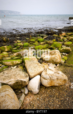 Swanage Hampshire England UK Beach Stock Photo