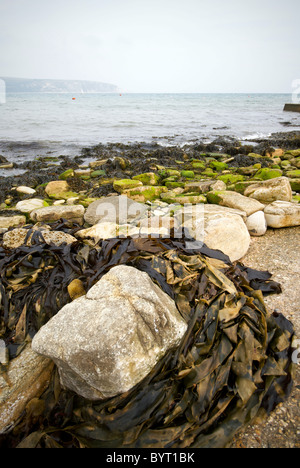 Swanage Hampshire England UK Beach Stock Photo