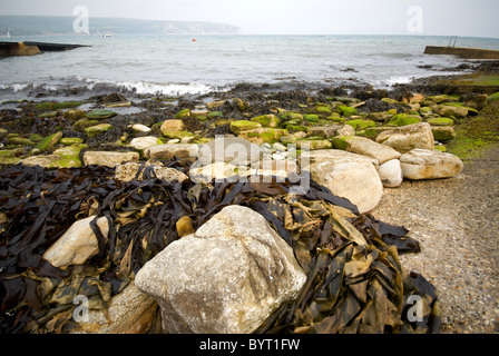 Swanage Hampshire England UK Beach Stock Photo