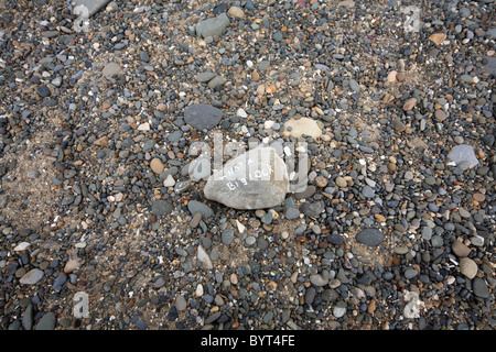Pebbles on a beach Stock Photo