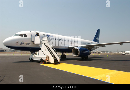 Unveiling of Jet Blue's 'Simpson's' themed airplane at the Burbank Airport in celebration of 'The Simpsons' movie release Stock Photo