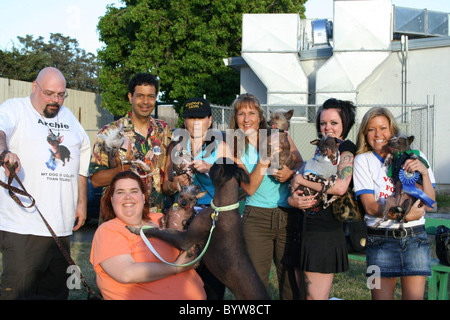 WORLD'S UGLIEST DOG IS CROWNED It's that time of year again - where ugly dogs of the world get together to decide who is indeed Stock Photo