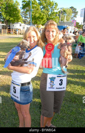 WORLD'S UGLIEST DOG IS CROWNED It's that time of year again - where ugly dogs of the world get together to decide who is indeed Stock Photo