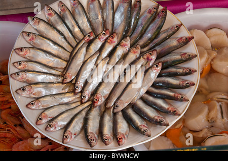 Plate of Sprats Stock Photo