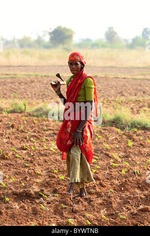 lady working in a field Andhra Pradesh South India Stock Photo - Alamy