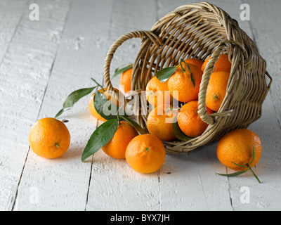 mandarins Stock Photo