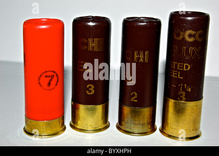 12 gauge shotgun shells migratory duck hunting ammunition variety sizes steel shot Stock Photo