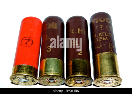 12 gauge shotgun shells migratory duck hunting ammunition variety sizes steel shot Stock Photo