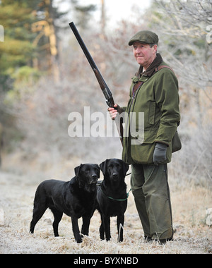 man out shooting with two black labrador retrievers UK Stock Photo