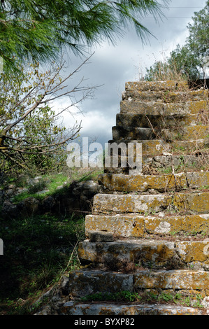 Grassed stone staircase of an abandoned rural house. Stock Photo