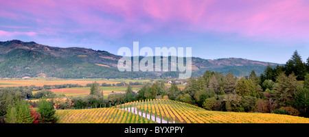 Sunset with fall colored vineyards at Castello di Amorosa. Napa Valley, California. Property relased Stock Photo