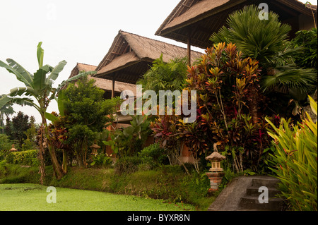 Just south of the Ubud Monkey Forest sits the beautiful Tegal Sari Hotel. A small accommodation on the terraced rice fields. Stock Photo