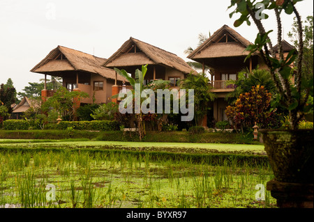 Just south of the Ubud Monkey Forest sits the beautiful Tegal Sari Hotel. A small accommodation on the terraced rice fields. Stock Photo