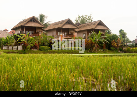 Just south of the Ubud Monkey Forest sits the beautiful Tegal Sari Hotel. A small accommodation on the terraced rice fields. Stock Photo