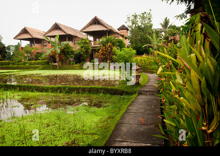 Just south of the Ubud Monkey Forest sits the beautiful Tegal Sari Hotel. A small accommodation on the terraced rice fields. Stock Photo