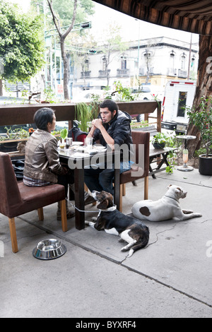 Mexican couple with two dogs having quiet lunch outdoors at upscale restaurant in Roma District of Mexico City Stock Photo
