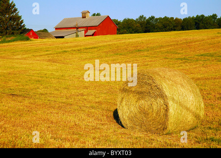 Hay bale on rural property in Catskill region of New York State. Hay bale on rural property in Catskill region of New York State.