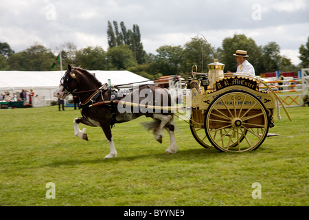 Horse and two wheeled carriage  or milk float at the Bucks County Show, Buckinghamshire, UK Stock Photo