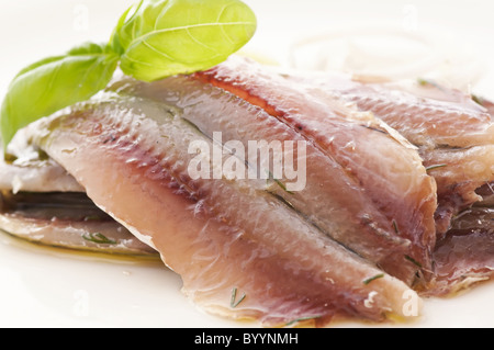 Marinated anchovies as closeup on white background Stock Photo